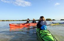 Kayak Sian Ka’an Biosphere Reserve Sunset Tour