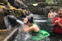 Custom Private Tour: Experience East Bali