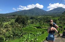 Private Tour: Bali Temple and Countryside Tour