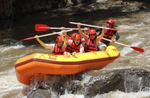 Small Group Ayung River Rafting Experience in Ubud