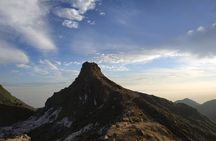 Wonderful 7 Days North Sumatra Tour (Include: 2 Days 1 Night Jungle Trekking)
