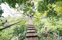 Hanuman World Phuket: Zipline & Canopy Thrills
