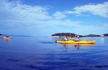 John Gray’s Hong by Starlight: Sea Cave Canoeing Experience