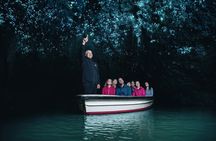 Private Tour [3 Days]: Hobbiton, Waitomo Twin Caves & Te Puia 