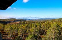Day Trip to Korouoma Canyon from Rovaniemi