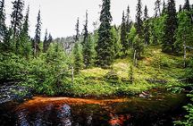 Day Trip to Korouoma Canyon from Rovaniemi
