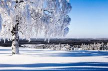 Snowmobile Safari in the Forest