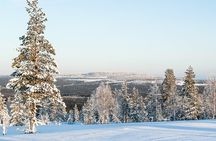 Snowmobile Safari in the Forest