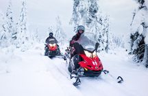 Snowmobile Safari to Reindeer and Husky Farms - Rovaniemi