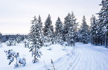 Snowmobile Safari on the Tundra