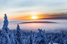 Further to the Wilderness