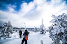 Photographing Tour by Snowmobile Sleigh