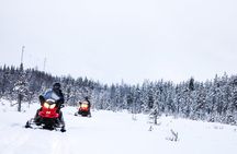 Snowmobile Safari on the Tundra
