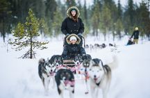 Snowmobile Safari to Reindeer and Husky Farms - Rovaniemi