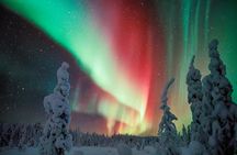 Northern Lights Snowmobile Driving Safari in Kemi