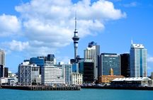 Auckland City Discovery Experience - Private Tour From Auckland