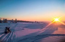 Snowmobile Safari in the Nature - Afternoon start