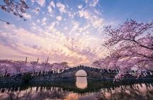 Wuxi Lingshan Buddhist Scenic Spot and Tai Lake Private Tour 