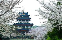 Wuxi Lingshan Buddhist Scenic Spot and Tai Lake Private Tour 