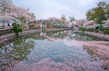 Wuxi Lingshan Buddhist Scenic Spot and Tai Lake Private Tour 