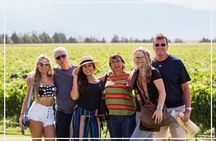Private Transfer Vinicolas Valle de Uco