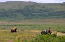 2 Park Bear Viewing Adventure to Katmai and Lake Clark NP