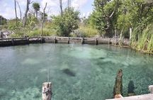 Holbox Tour - Island & Cenote from Cancun and Playa del Carmen 