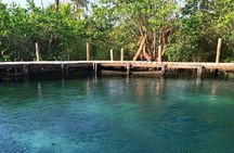 Tour Holbox - Two Island & Cenote from Cancun & Playa Del Carmen
