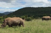 3-Day Kruger National Park Private Safari from Johannesburg