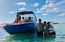 Half-Day Miami River Hop-On Hop-Off Boat Tour with Boat Party