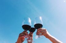Valle de Guadalupe Winery and Vineyard Tour from San Diego