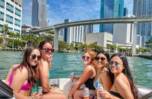 Miami Nixon Sandbar Hop-on Hop-off Boat Tour up to 10 Pax