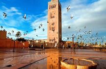 Day Trips from Agadir to Marrakech with Amazing guide 