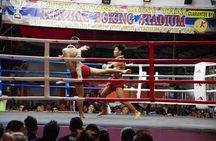 Thapae Stadium Muay Thai Boxing Experience – Chiang Mai