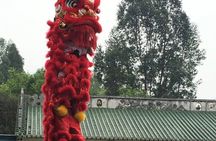 Private Half-Day Kungfu Experience in Foshan from Guangzhou
