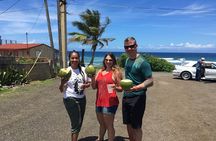 North West Adventure Puerto Rico