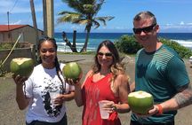 North West Adventure Puerto Rico