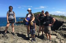 North West Adventure Puerto Rico