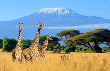 2 Days Amboseli Tour Van (Cost Based on Min 2 persons)