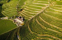 Lake Como & UNESCO Dry-stone Walls Vineyards