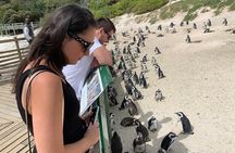 African Penguins, Cape Point & Constantia Wine tasting Full Day Tour.