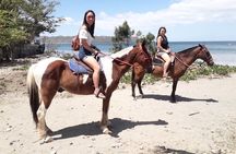 1,5 Hours Private Horseback Riding Tour in Playa Conchal