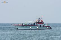 Whale Watching Expedition