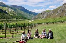 Gibbston Half-Day Private Wine Tour with Hotel Pickup