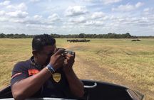 Yala National Park Full-Day Jeep Safari with Lunch