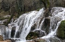 Middle Atlas , Cedar Forest and Azrou Day Trip from Fez