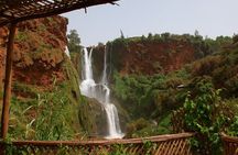 Ouzoud Waterfalls Full-Day Group Tour from Marrakech