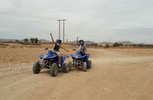 Quad & Camel Ride in Agafay Desert