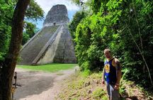 Tikal National Park Full-Day Guided Tour from Flores