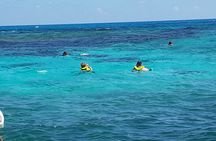 Coral Reef Private Snorkel tour out to John Pennekamp Coral Reef State Park 